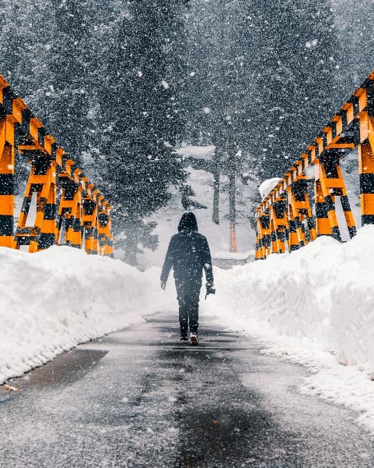 Kashmir Winter Wonderland with Gulmarg Snow